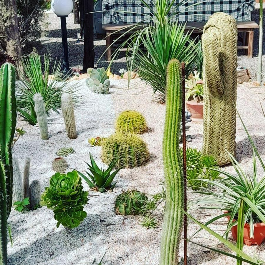 Sidi Bibi Petit Paradis 아파트 외부 사진
